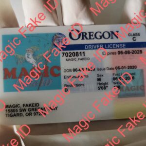 Old Oregon Driver License