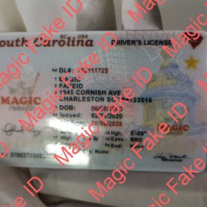 New South Carolina Driver License